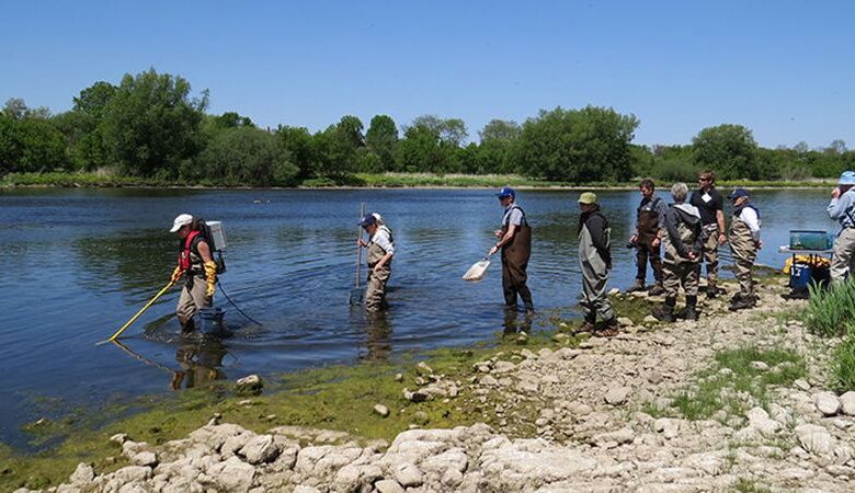 Below the Surface: The Hidden World of Benthic Macroinvertebrates Below the Surface: The Hidden World of Benthic Macroinvertebrates