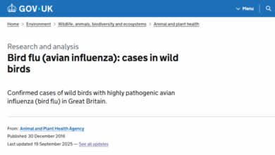 Bird flu – positive cases in species of wild bird 2016-2025 – Mark Avery