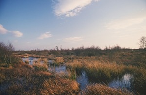 Defra press release – a move forward on burning on deep peat soils – Mark Avery Defra press release – a move forward on burning on deep peat soils – Mark Avery