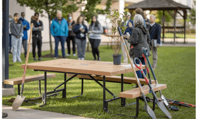 Healing Needs Nature: Bring the Forest to Your City Healing Needs Nature: Bring the Forest to Your City