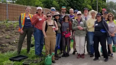 Here’s How You Can Volunteer to Protect Nature in Ontario Here’s How You Can Volunteer to Protect Nature in Ontario
