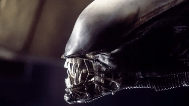 Loving the Alien – Disquiet Loving the Alien – Disquiet