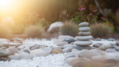 Meditation as a Journey to the Unknowable Meditation as a Journey to the Unknowable