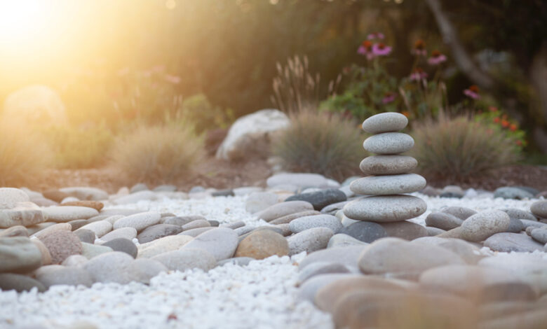 Meditation as a Journey to the Unknowable Meditation as a Journey to the Unknowable