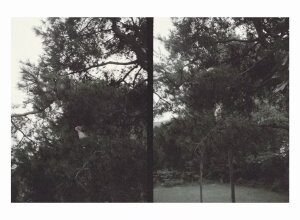 Okkyung Lee ~ just like any other day (어느날): background music for your mundane activities Okkyung Lee ~ just like any other day (어느날): background music for your mundane activities