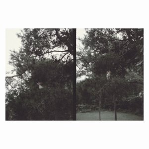 Okkyung Lee ~ just like any other day (어느날): background music for your mundane activities Okkyung Lee ~ just like any other day (어느날): background music for your mundane activities