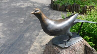 Passenger Pigeon Day, 111 years gone – Mark Avery