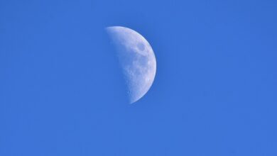 Phases – Mindfulbalance Phases – Mindfulbalance