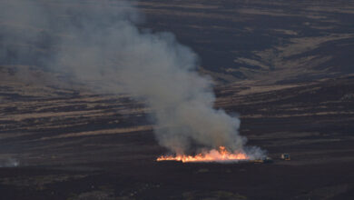 RSPB comment on Defra burning announcement and Defra summary of consultation responses – Mark Avery RSPB comment on Defra burning announcement and Defra summary of consultation responses – Mark Avery