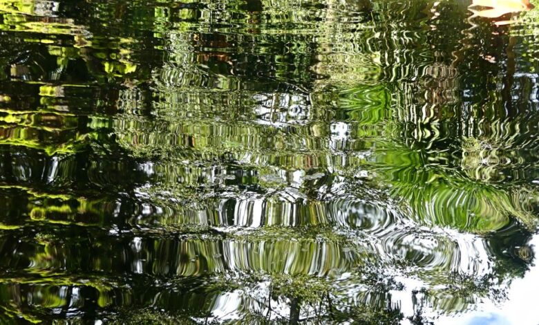 Reflections BGSU 1