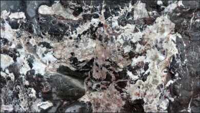 Rock Armour 6 – Jessica’s Nature Blog