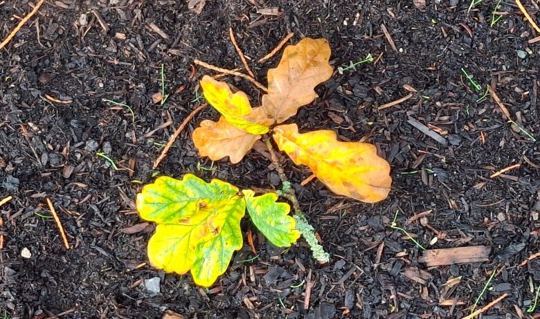 Seasons – Mindfulbalance Seasons – Mindfulbalance