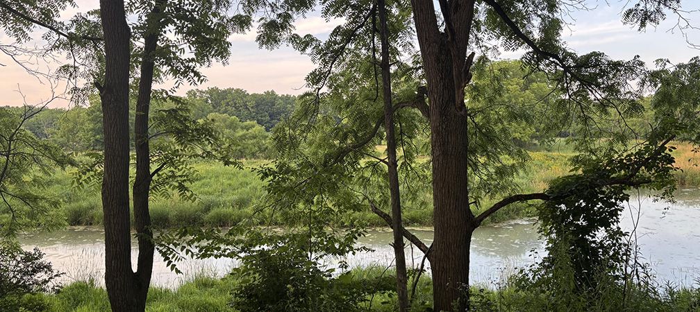A view of the Sydenham River, at Sydenham River Nature Reserve, a Carolinian freshwater river in southwestern Ontario with biodiverse habitat