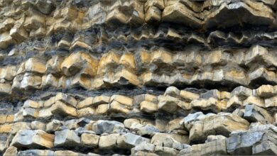Strata 2 DRB – Jessica’s Nature Blog Strata 2 DRB – Jessica’s Nature Blog