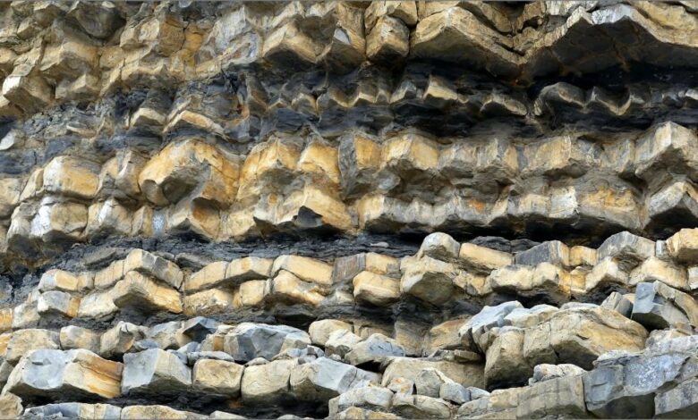 Strata 2 DRB – Jessica’s Nature Blog Strata 2 DRB – Jessica’s Nature Blog