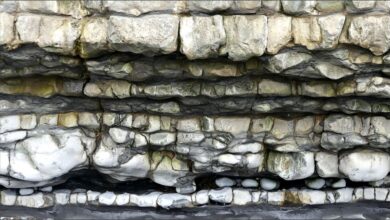 Strata 3 DRB – Jessica’s Nature Blog Strata 3 DRB – Jessica’s Nature Blog