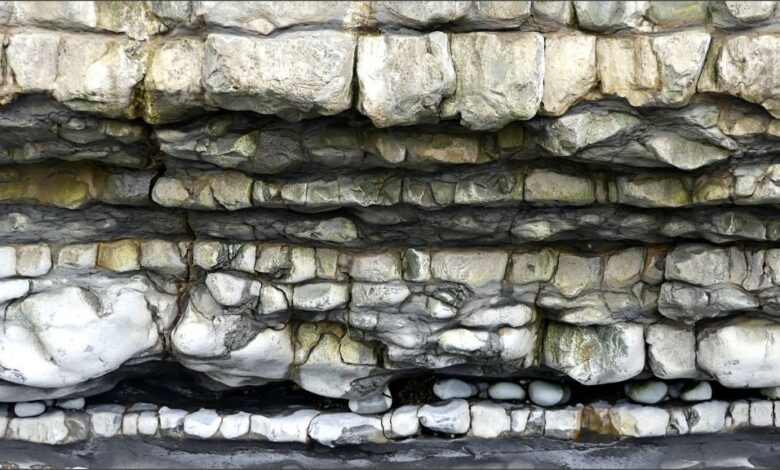Strata 3 DRB – Jessica’s Nature Blog Strata 3 DRB – Jessica’s Nature Blog