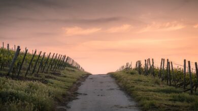 Sunday Quote: How you travel Sunday Quote: How you travel