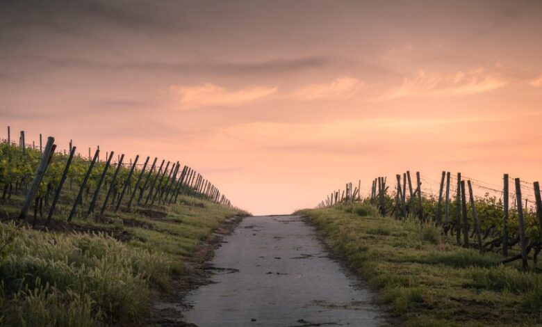 Sunday Quote: How you travel
