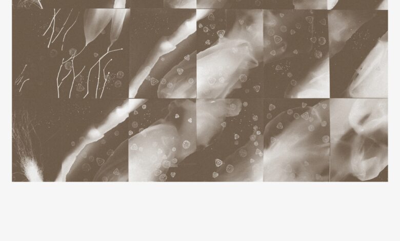 The Coiling of the Tide by Peter Knight – Stationary Travels The Coiling of the Tide by Peter Knight – Stationary Travels