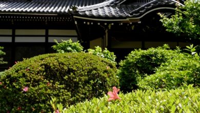The Diamond Sutra (4) – Second Commentary – Zen Fools