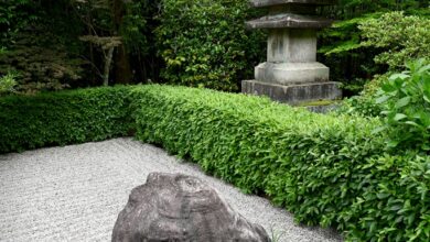 What does ‘The Buddha is not the Buddha’ signify? – Zen Fools What does ‘The Buddha is not the Buddha’ signify? – Zen Fools