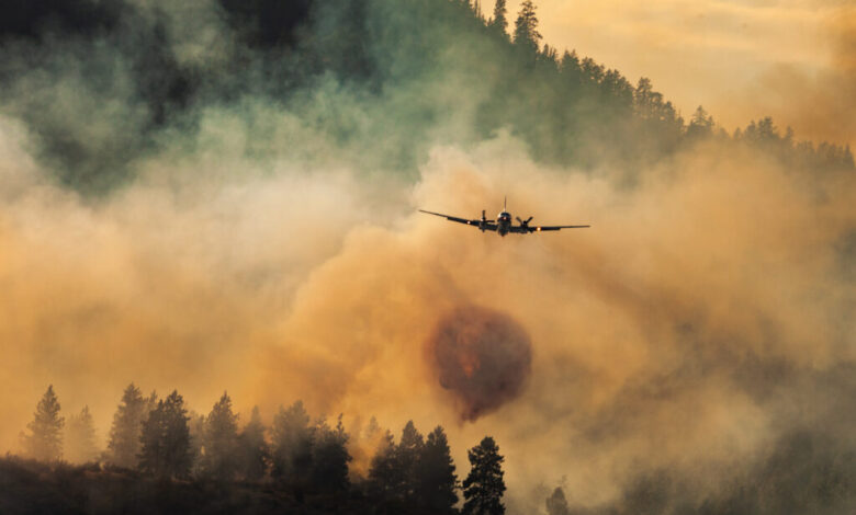 When the Sky Turns Gray: What Smoke Means for Birds When the Sky Turns Gray: What Smoke Means for Birds