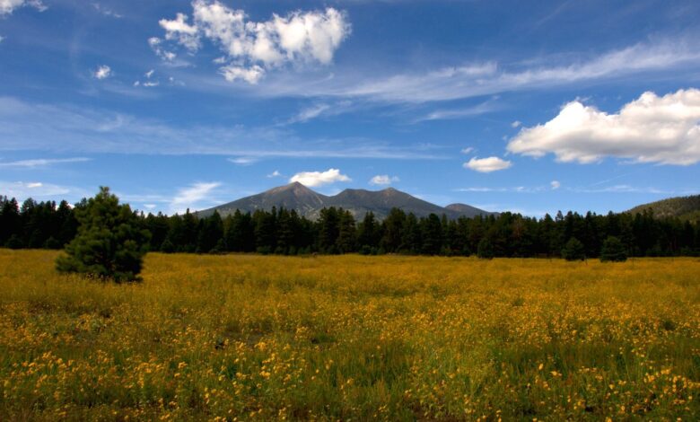 Where Sport & Nature Meet Where Sport & Nature Meet