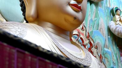 Why does the Buddha have nothing to uphold, or violate? – Zen Fools