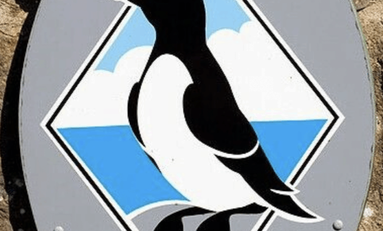 Wild Justice wins judicial review against Pembrokeshire Coast National Park – Mark Avery Wild Justice wins judicial review against Pembrokeshire Coast National Park – Mark Avery