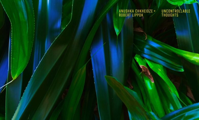out soon: Anushka Chkheidze + Robert Lippok – Uncontrollable Thoughts [Morr Music]
