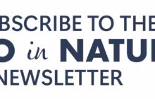 What are rhino’s horns made of? Rhinoceros Facts & Frequently Asked Questions