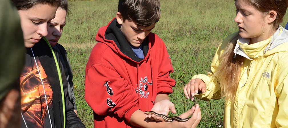 Young people handling and looking at a gartersnake