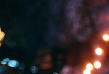 Dalton Alexander ~ At Some Point It Stopped