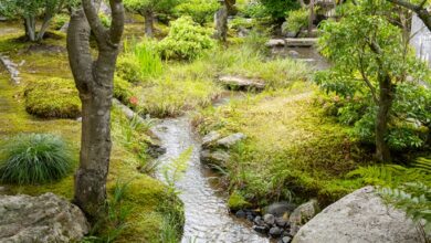 How can we know that there is no mind? – Zen Fools How can we know that there is no mind? – Zen Fools