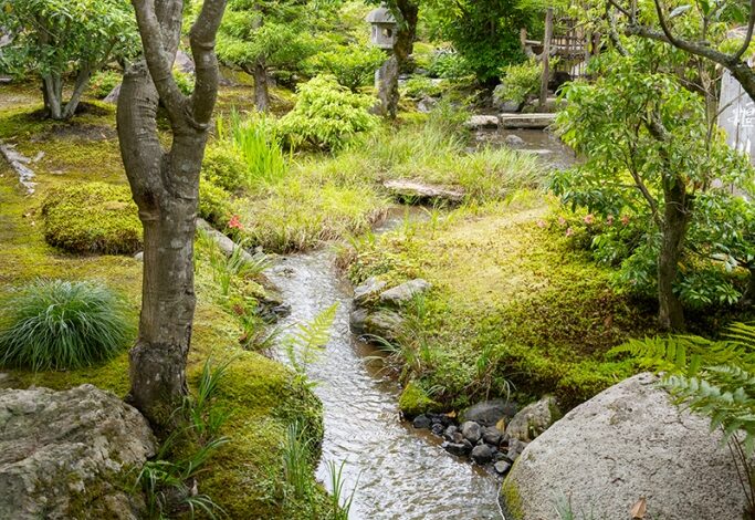 How can we know that there is no mind? – Zen Fools How can we know that there is no mind? – Zen Fools