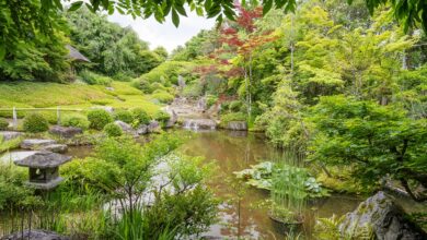 Is there mind, or not? – Zen Fools Is there mind, or not? – Zen Fools