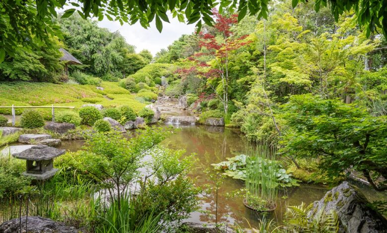Is there mind, or not? – Zen Fools Is there mind, or not? – Zen Fools