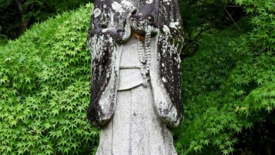 Nanquan’s Body (2) – Zen Fools Nanquan’s Body (2) – Zen Fools