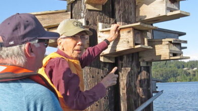 Nature Canada’s Jodi Joy Volunteer for Nature Award: Soren Bondrup-Nielsen and Kiyoshi Takahashi