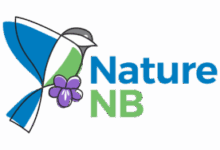Nature Network Showcase: Nature NB – Advocating for ecosystem protection at Nature on the Hill 2025