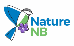 Nature Network Showcase: Nature NB – Advocating for ecosystem protection at Nature on the Hill 2025