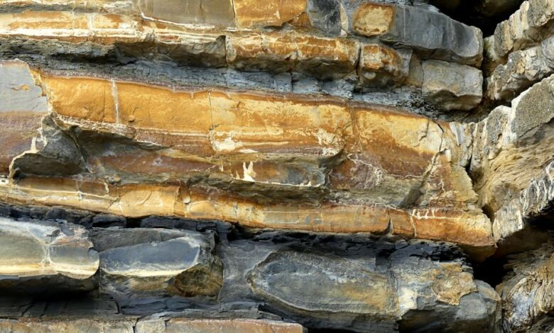 Strata 4 DRB – Jessica’s Nature Blog