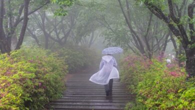 Sunday Quote: Stand in the rain Sunday Quote: Stand in the rain