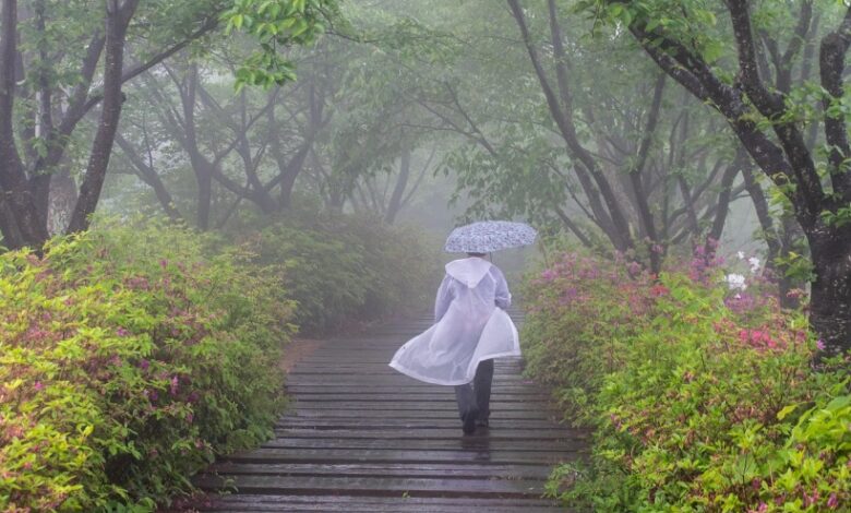 Sunday Quote: Stand in the rain Sunday Quote: Stand in the rain