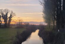 Sunday Quote: a new loveliness