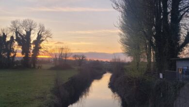 Sunday Quote: a new loveliness