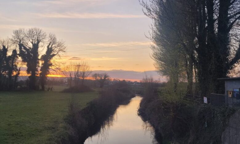 Sunday Quote: a new loveliness Sunday Quote: a new loveliness