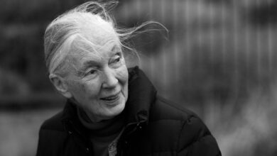 What Jane Goodall Taught Us About Being Human What Jane Goodall Taught Us About Being Human