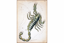 What You Need to Know About Scorpio (Even If It’s Not Your Sign)